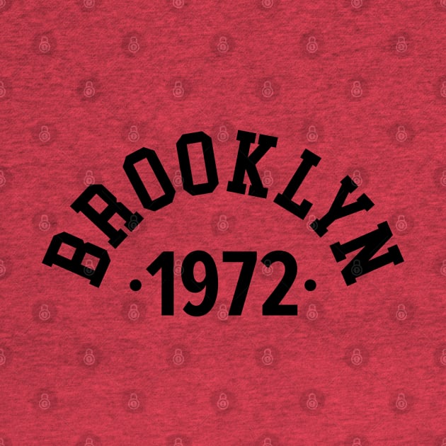 Brooklyn Chronicles: Celebrating Your Birth Year 1972 by Boogosh